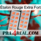 Étalon Rouge Extra Fort 27